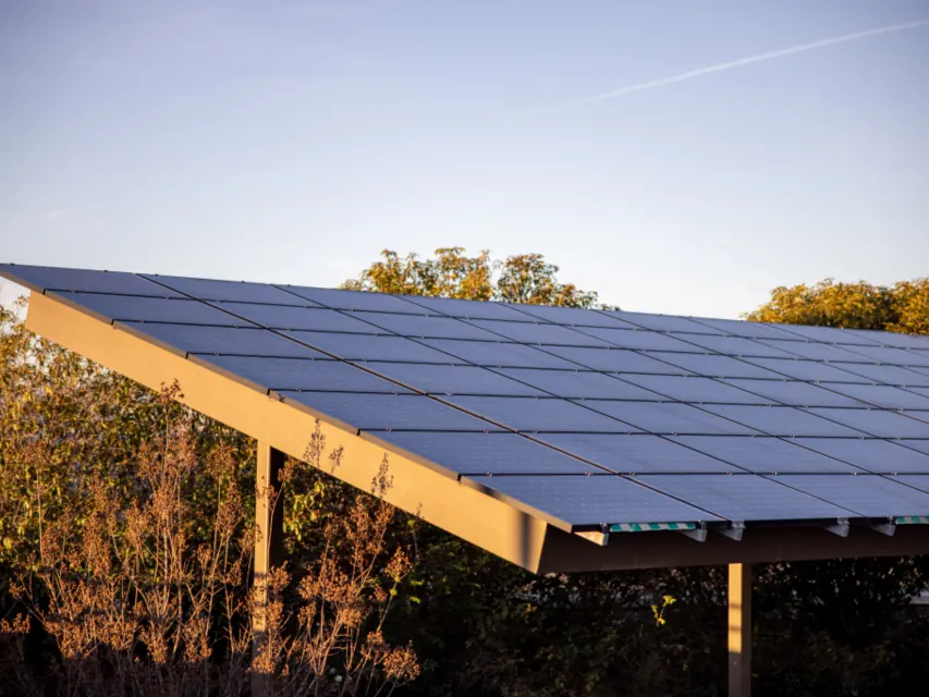Solar panel canopy glowing at sunset with trees behind it