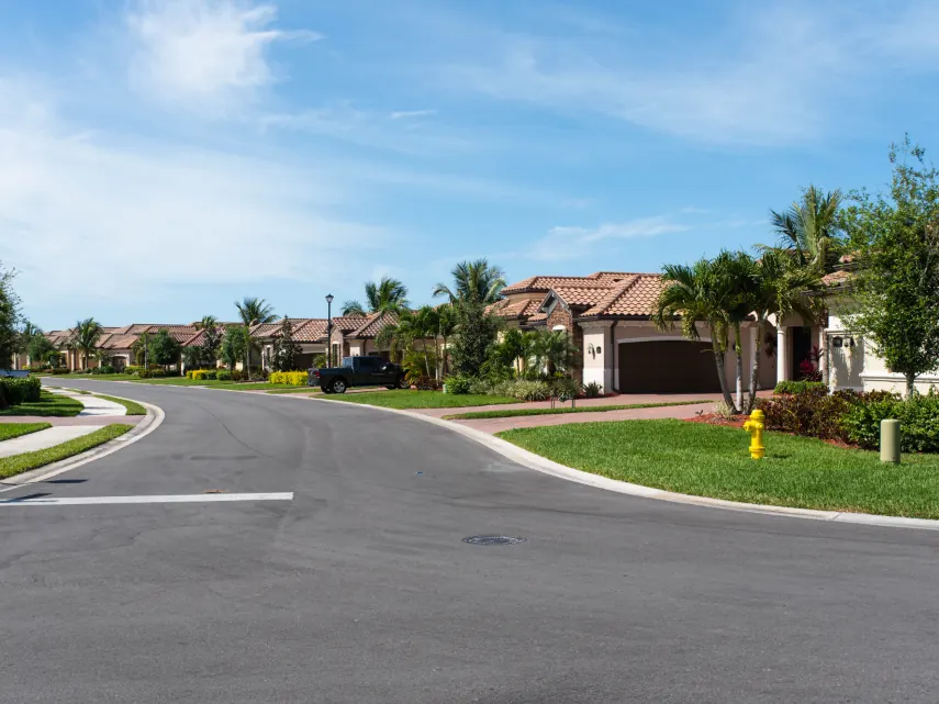 Quiet suburban street lined with palm trees and single-story homes