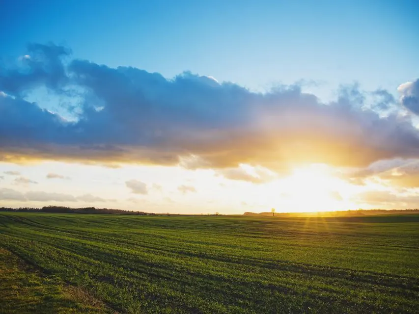 Sun rising over a wide green field under dramatic clouds